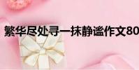 繁華盡處尋一抹靜謐作文800字(繁華盡處)