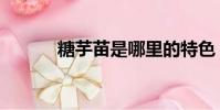 糖芋苗是哪里的特色(糖芋苗)