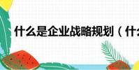 什么是企業戰略規劃(什么是企業戰略)