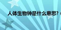 人體生物鐘是什么意思?(人體生物鐘)