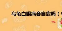 烏龜白眼病會自愈嗎(烏龜白眼病)