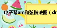 電子琴am和弦指法圖(dm7和弦指法圖)
