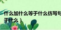 什么加什么等于什么仿寫句子(什么加什么等于什么)