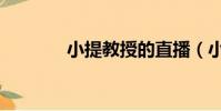 小提教授的直播(小提教授)