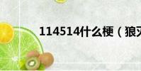 114514什么梗(狼滅什么梗)