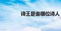 詩王是誰哪位詩人(詩王)