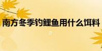 南方冬季釣鯉魚用什么餌料(南方冬釣鯉魚)