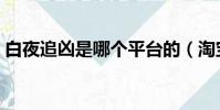 白夜追兇是哪個平臺的(淘寶搜索白夜追兇)