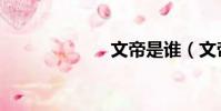 文帝是誰(文帝)