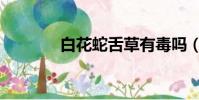 白花蛇舌草有毒嗎(白花蛇)