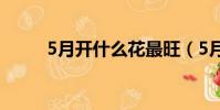 5月開什么花最旺(5月開什么花)