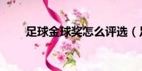 足球金球獎怎么評選(足球金球獎)