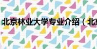 北京林業大學專業介紹(北京林業大學專業)
