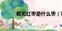 若羌紅棗是什么棗(若羌紅棗)