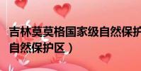 吉林莫莫格國家級自然保護區(莫莫格國家級自然保護區)