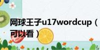 網球王子u17wordcup(網球王子u17在哪可以看)