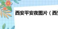 西安平安夜圖片(西安平安夜)