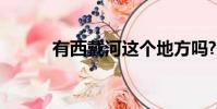 有西戴河這個地方嗎?(西戴河)