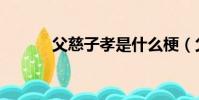 父慈子孝是什么梗(父慈子孝)
