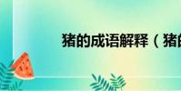 豬的成語解釋(豬的成語)