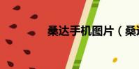 桑達手機圖片(桑達手機)