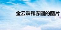 金云裂和赤圓的圖片(金云裂)