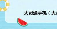 大靈通手機(大靈通)