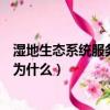 濕地生態系統服務價值評估技術規程（濕地生態系統又被稱為什么）
