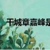 干城章嘉峰是世界第幾高峰（干城章嘉峰）