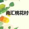 南匯桃花村什么時候開放（南匯桃花村）