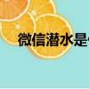 微信潛水是什么意思（潛水是什么意思）