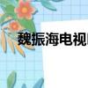魏振海電視叫什么（魏振海電視劇全集）