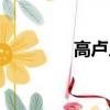 高盧人是哪國人（高盧人）