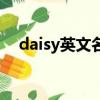 daisy英文名寓意（daisy英文名怎么讀）