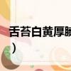 舌苔白黃厚膩有齒痕吃什么中成藥（舌苔白黃）