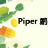 Piper 鷸的英語手抄報（piper 鷸）