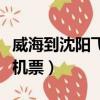 威海到沈陽飛機票價和時間表（威海到沈陽飛機票）