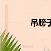 吊膀子是什么意思（吊膀子）