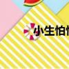小生怕怕歌曲（小生怕怕2008）