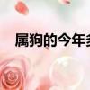 屬狗的今年多大2019（屬狗的今年多大）