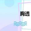 胸透 費用（胸透檢查費用）