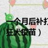 一個月后補打狂犬疫苗有用嗎（一個月后補打狂犬疫苗）