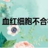 血紅細胞不合格怎么治療（血紅細胞不合格）