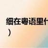 細在粵語里什么意思（細細個粵語是什么意思）