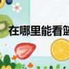 在哪里能看籃球火（籃球火在哪里可以看）