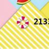 2133是什么意思（2133）