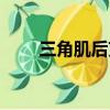 三角肌后束孤立訓練（三角肌后束）