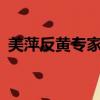 美萍反黃專家V4.8 標準版（美萍反黃專家）