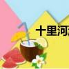 十里河灘要門票嗎（十里河灘）