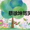 蔡徐坤罵哭王俊凱（罵蔡徐坤什么梗）